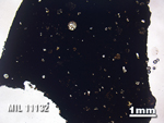 Thin Section Photo of Sample MIL 11132 in Plane-Polarized Light with 1.25X Magnification