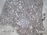 Thin Section Photo of Sample MIL 11132 in Reflected Light with 1.25X Magnification