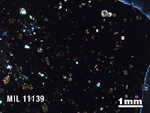 Thin Section Photo of Sample MIL 11139 in Cross-Polarized Light with 1.25X Magnification