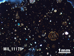 Thin Section Photo of Sample MIL 11178 in Cross-Polarized Light with 1.25X Magnification