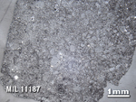 Thin Section Photo of Sample MIL 11187 in Reflected Light with 1.25X Magnification