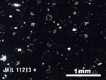 Thin Section Photo of Sample MIL 11213 in Plane-Polarized Light with 2.5X Magnification