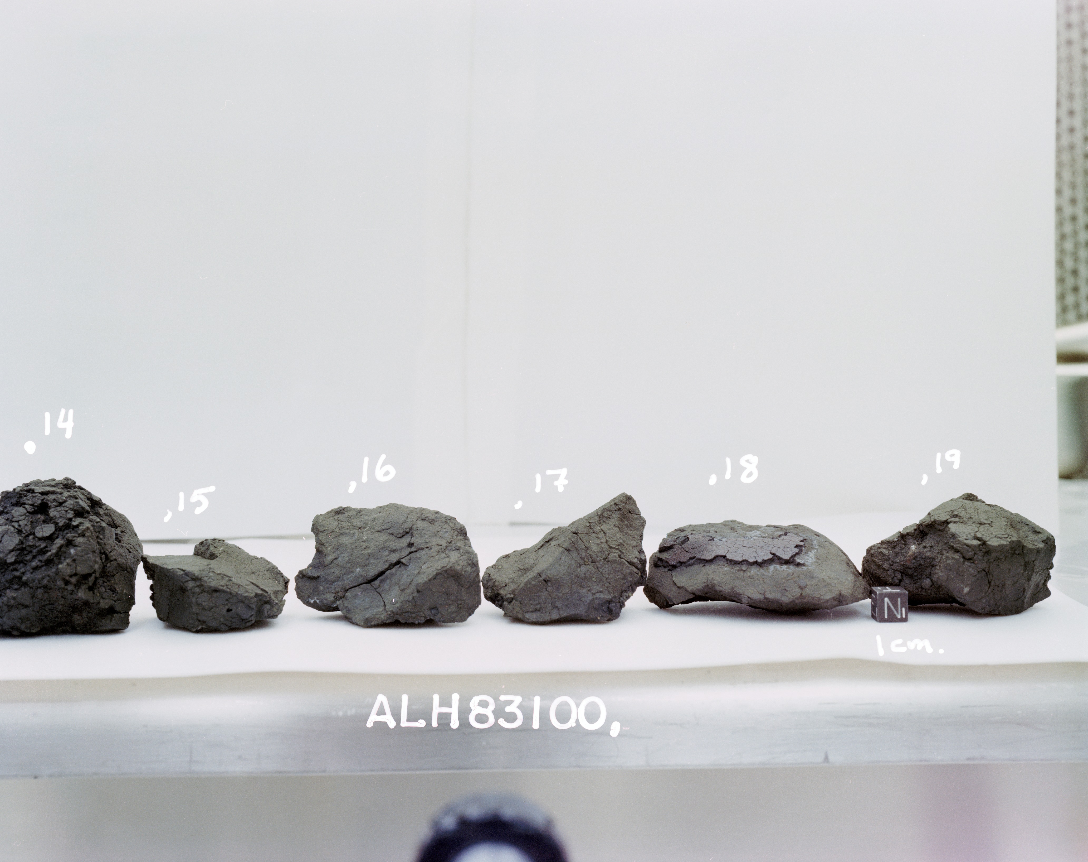 C1. Lab Photo of Sample ALH 83100 (Photo Number s86-28542)