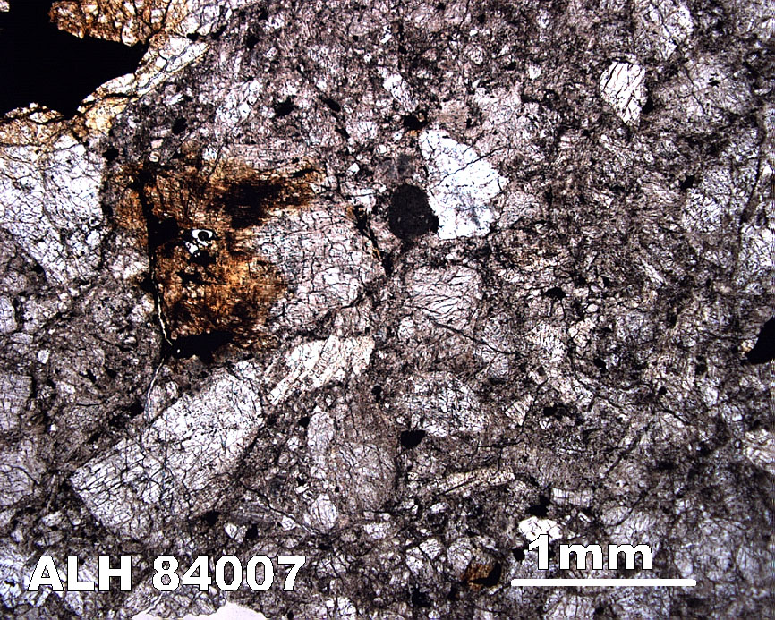 Thin Section Photograph of Sample ALH 84007 in Plane-Polarized Light