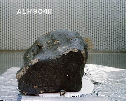 East View of Sample ALH 90411 (Photo Number: S91-38686)