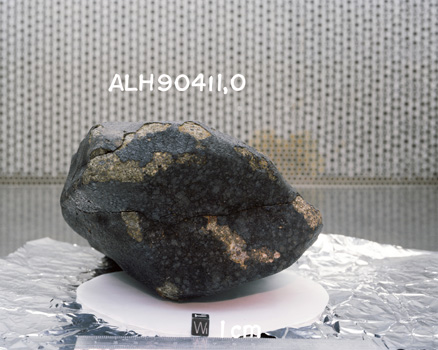 West View of Sample ALH 90411 (Photo Number: S91-38687)