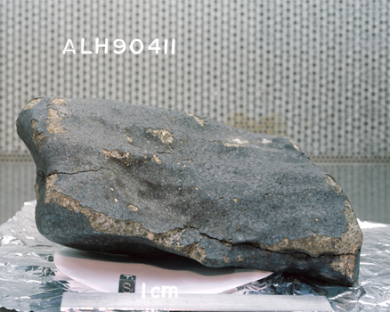 South View of Sample ALH 90411 (Photo Number: S91-38690)