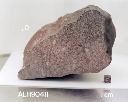 East View of Sample ALH 90411 (Photo Number: S94-44342)