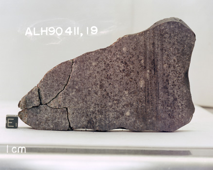 East View of Sample ALH 90411 After Cutting (Photo Number: S94-46842)