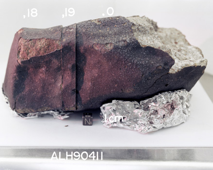 North View of Splits for Sample ALH 90411 (Photo Number: S94-46852)