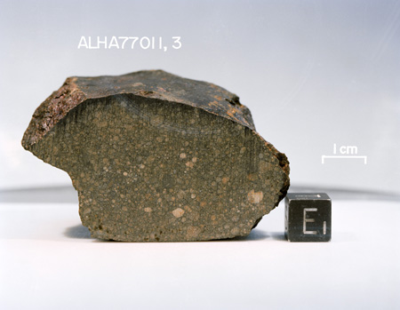East View of Sample ALHA77011 (Photo Number: S80-38161)