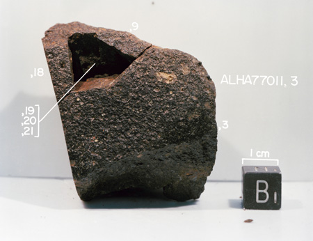 Bottom View of Sample ALHA77011 (Photo Number: S81-32616)