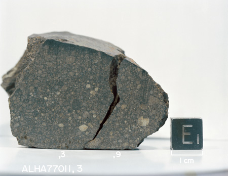 East View of Sample ALHA77011 (Photo Number: S81-32617)