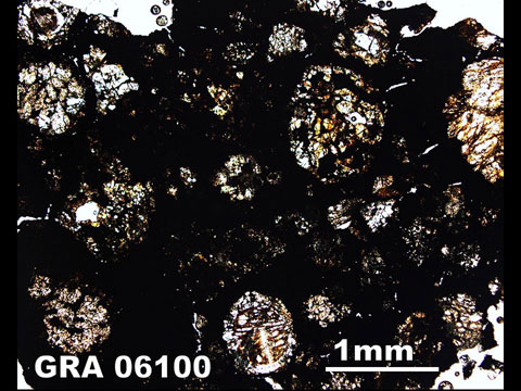 Thin Section Photo of Sample GRA 06100  in Plane-Polarized Light