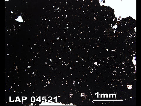 Thin Section Photo of Sample LAP 04521  in Plane-Polarized Light
