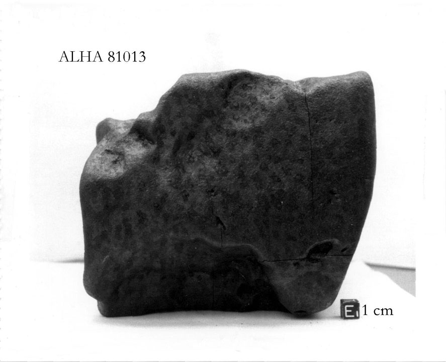 East View of Sample ALHA81013
