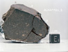East View of Sample ALHA77011 (Photo Number: S81-32618)
