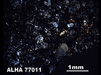 Thin Section Photograph of Sample ALHA 77011 in Cross-Polarized Light