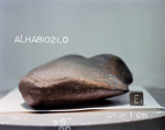 East View of Sample ALHA81021 (Photo Number: s82-39973)