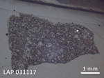 Thin Section Photo of Sample LAP 031117 in Reflected Light with  Magnification