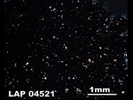 Thin Section Photo of Sample LAP 04521  in Cross-Polarized Light