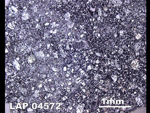 Thin Section Photo of Sample LAP 04572  in Reflected Light