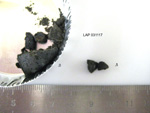 Lab Photo of Sample LAP 03111 