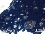Thin Section Photo of Sample MCY 05219 in Plane-Polarized Light with 5X Magnification
