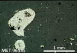 Thin Section Photo of Sample MET 96535 in Reflected Light with 2.5X Magnification