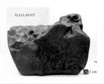 South View of Sample ALHA81013