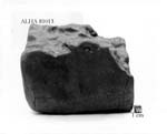 West View of Sample ALHA81013