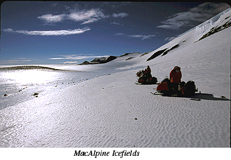 ANSMET 2002-2003 season - MacAlpine Icefields