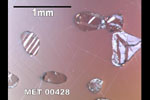 MET 00428 - Reflected Light - Troilite