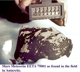 Photograph of EETA79001 as found in the field in Antarctica. 