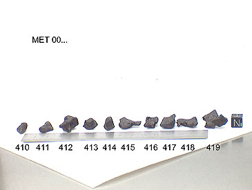 MET00410, 411, 412, 413, 414, 415, 416, 417, 418, and 419 Image