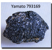 Yamato-793169 Sample