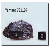 Yamato-791197 Sample