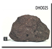 Dho025 Sample