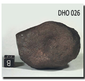Dho026 Sample
