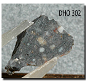Dho302 Sample