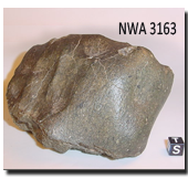 NWA3163 Sample