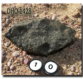 Dho1428 Sample