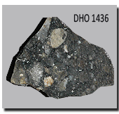 Dho1436 Sample