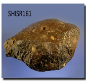 Shisr161 Sample