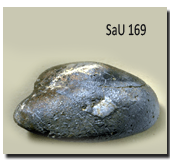 SaU169 Sample
