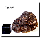 Dho925 Sample