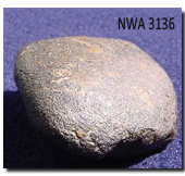 NWA3136 Sample