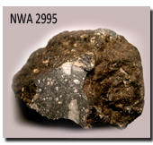 NWA2995 Sample