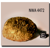 NWA4472 Sample