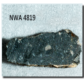 NWA4819 Sample